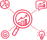 Analytics & Insights